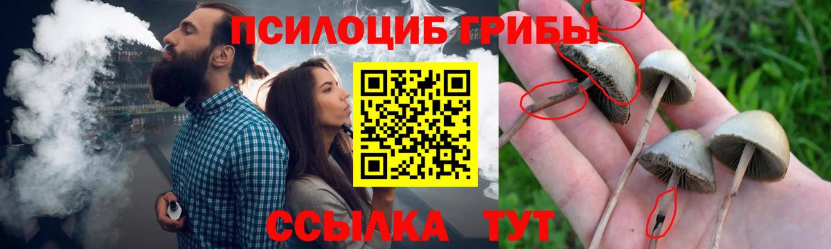 Торжок  Галлюциногенные грибы Psilocybe  Псилоцибиновые грибы мицелий  Вход с VPN 